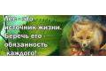 12_2m_sq200_120x80