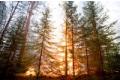 Press-tcentr_tomsk-03_08_12_120x80