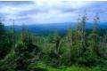 Press-tcenrt_tomsk-21_08_12_120x80