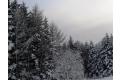 Primorskiykray_120x80