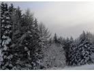 Primorskiykray_138x106