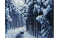 1323380781_mixed-wallpapers-pack-88-8_120x80