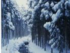 1323380781_mixed-wallpapers-pack-88-8_138x106