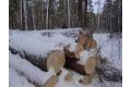 Dsc03694_120x80