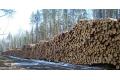 Lesprom_karelia_120x80