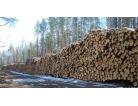 Lesprom_karelia_138x106