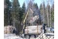 Lesozagotovki4_120x80