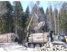 Lesozagotovki4_138x106