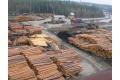 Lesomaterialyeksportsibir_120x80