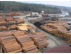 Lesomaterialyeksportsibir_138x106