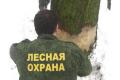 Dubypodmoskvaokolcovka_120x80