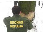 Dubypodmoskvaokolcovka_138x106