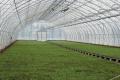Dsc01049_120x80