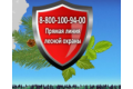 Pryamaya_liniya_lesnoj_ohrany_120x80