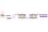%D0%B1%D1%80%D1%83%D1%81-dwg122_54x36